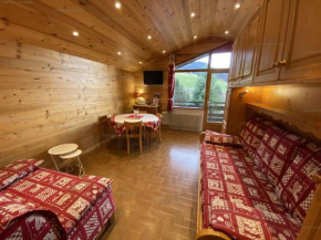 Spacieux 2 pièces au Chinaillon pour 5 personnes, balcons - FR-1-458-211 Le Grand-Bornand